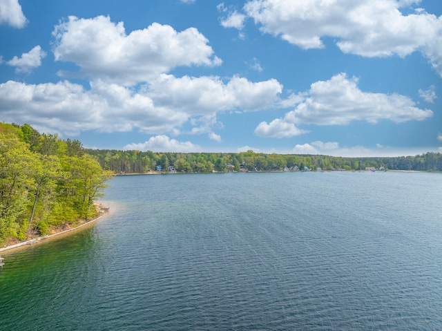 10970 NE Bluff Dr, Mancelona, MI 49659 - photo 3