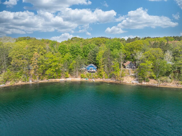 10970 NE Bluff Dr, Mancelona, MI 49659 - photo 5