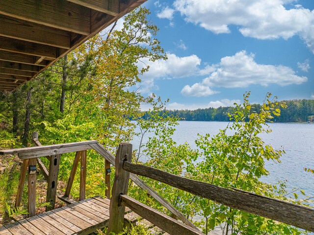 10970 NE Bluff Dr, Mancelona, MI 49659 - photo 12