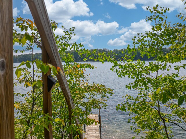 10970 NE Bluff Dr, Mancelona, MI 49659 - photo 14