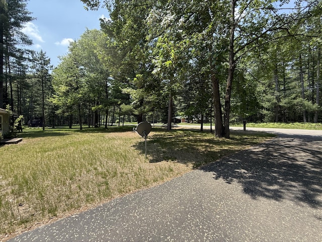 114 Shirley Ln, Roscommon, MI 48653 - photo 30