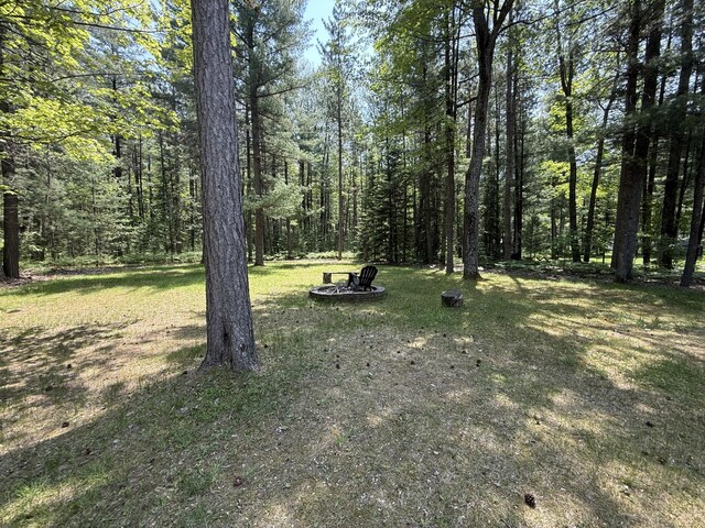 114 Shirley Ln, Roscommon, MI 48653 - photo 31
