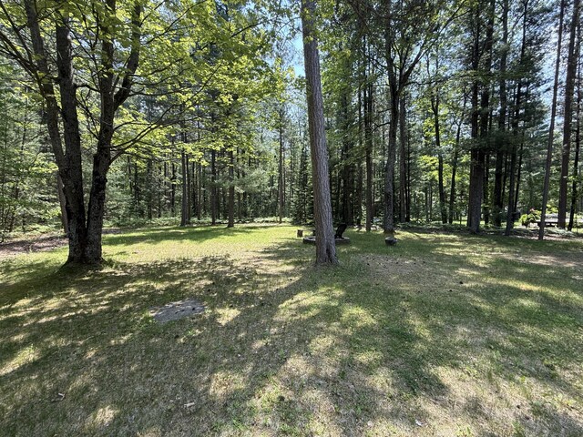 114 Shirley Ln, Roscommon, MI 48653 - photo 32