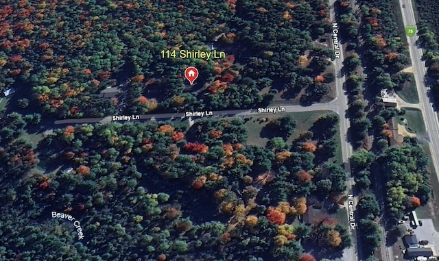 114 Shirley Ln, Roscommon, MI 48653 - photo 38