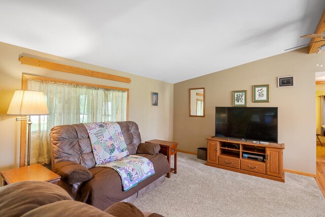 77 W Vfw Rd, Cheboygan, MI 49721 - photo 23
