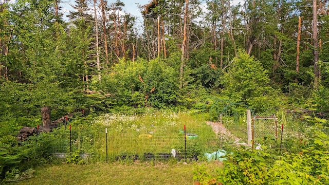 3065 E Dixon Lake Rd, Gaylord, MI 49735 - view of yard featuring a garden