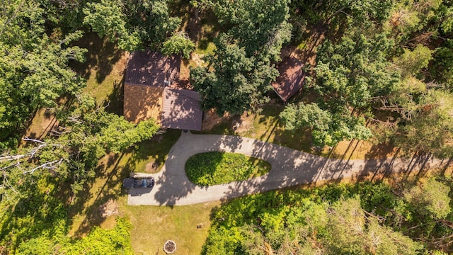 3065 E Dixon Lake Rd, Gaylord, MI 49735 - aerial view of property and surrounding area