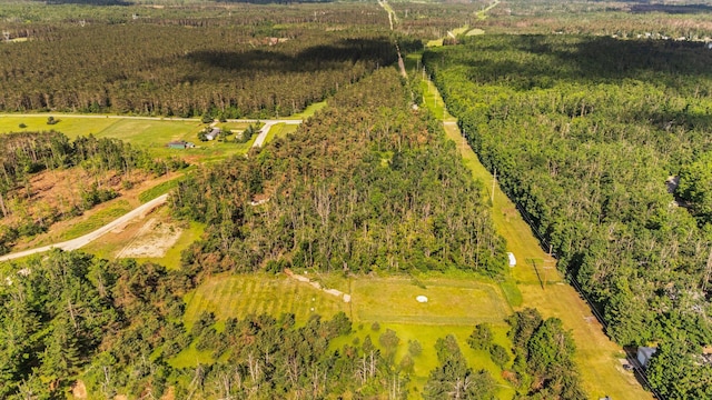 3065 E Dixon Lake Rd, Gaylord, MI 49735 - bird's eye view of a heavily wooded area