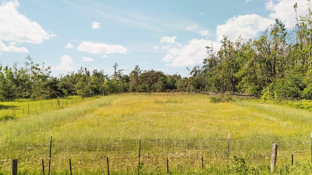 3065 E Dixon Lake Rd, Gaylord, MI 49735 - view of nature featuring rural landscape