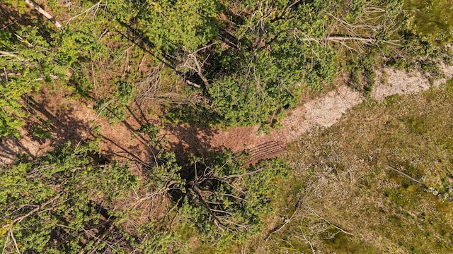 3065 E Dixon Lake Rd, Gaylord, MI 49735 - drone / aerial view