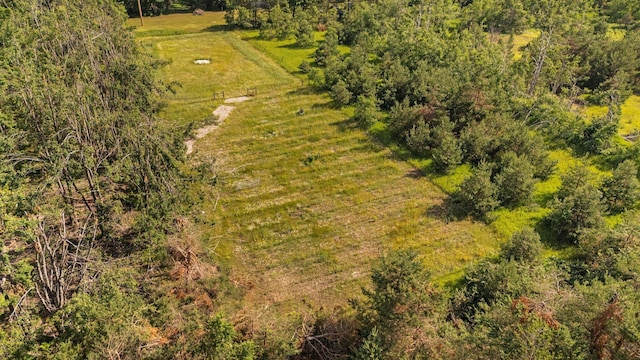 3065 E Dixon Lake Rd, Gaylord, MI 49735 - bird's eye view
