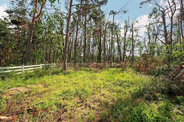 3065 E Dixon Lake Rd, Gaylord, MI 49735 - view of yard