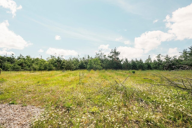3065 E Dixon Lake Rd, Gaylord, MI 49735 - view of local wilderness featuring rural landscape