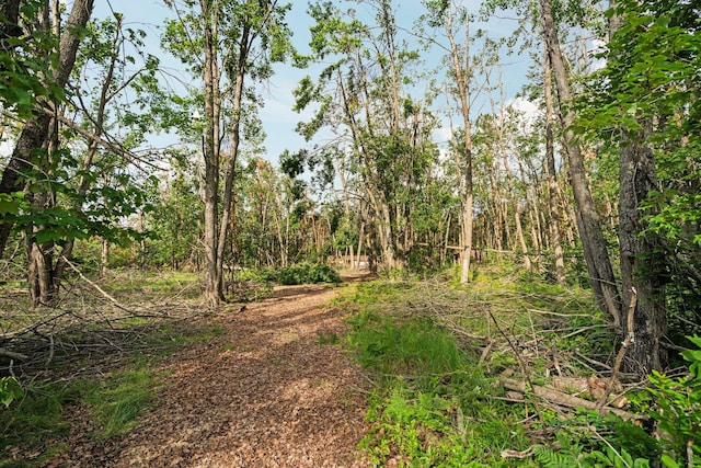 3065 E Dixon Lake Rd, Gaylord, MI 49735 - view of nature