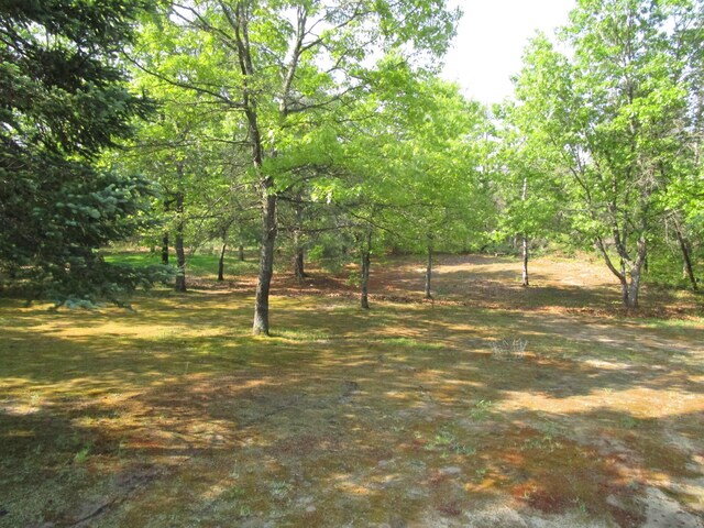 4381 Kateri Ln, Indian River, MI 49749 - photo 9