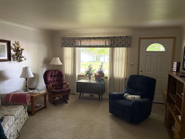 119 Kelly Rd, Alpena, MI 49707 - living room with healthy amount of natural light and carpet flooring