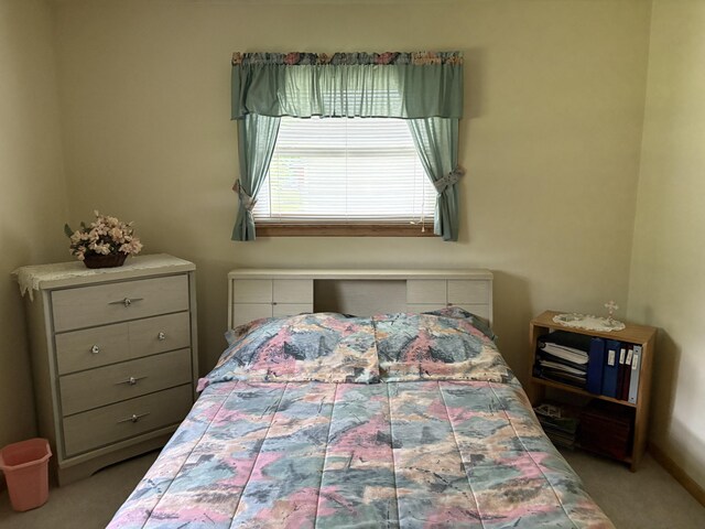 119 Kelly Rd, Alpena, MI 49707 - view of carpeted bedroom