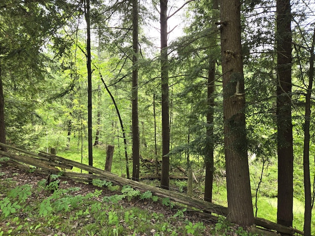 2568 E Mctaggart Dr, Mikado, MI 48745 - view of woods