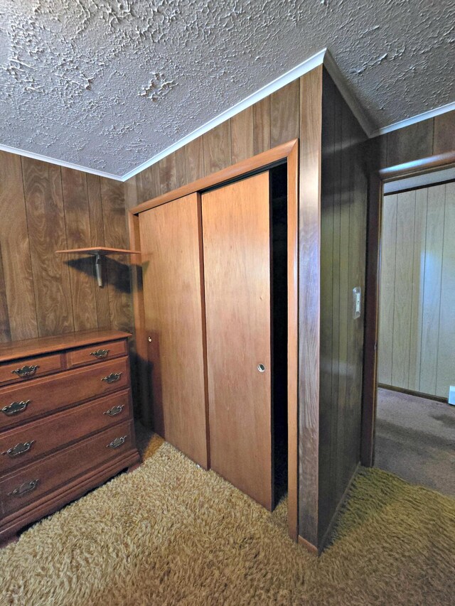 200 S 1st St, Saint Ignace, MI 49781 - detailed view of carpet floors, wooden walls, a textured ceiling, and crown molding