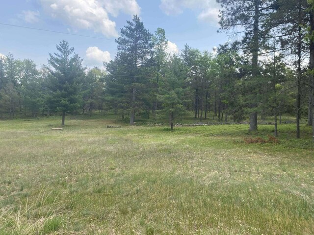 2312 Kari Dr, Luzerne, MI 48636 - photo 32