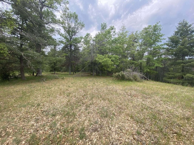 2312 Kari Dr, Luzerne, MI 48636 - photo 33