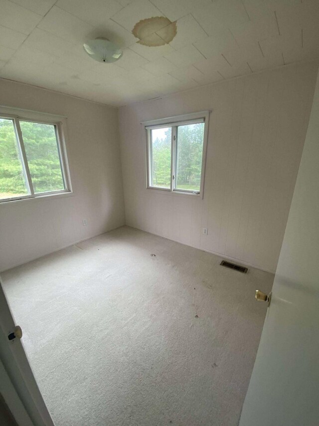 2312 Kari Dr, Luzerne, MI 48636 - photo 11