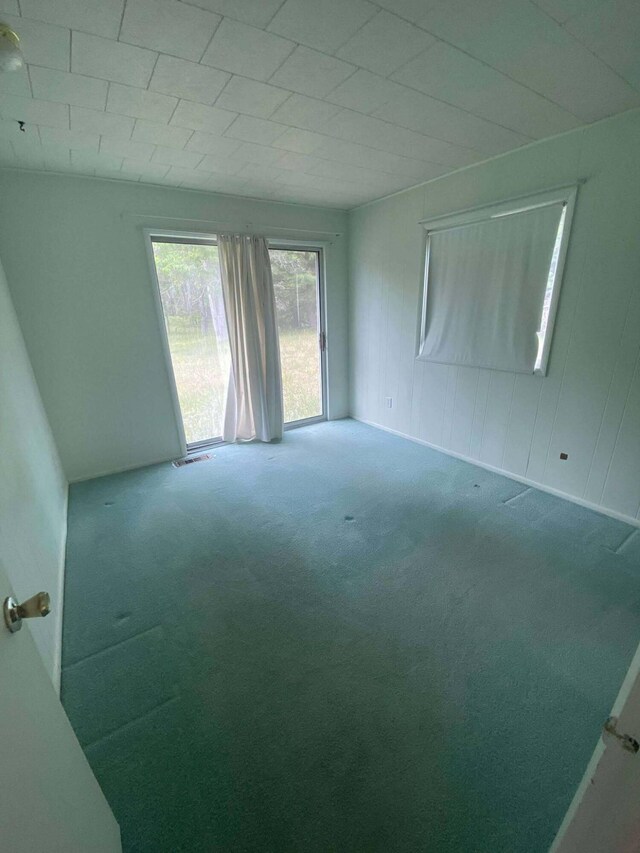2312 Kari Dr, Luzerne, MI 48636 - photo 10
