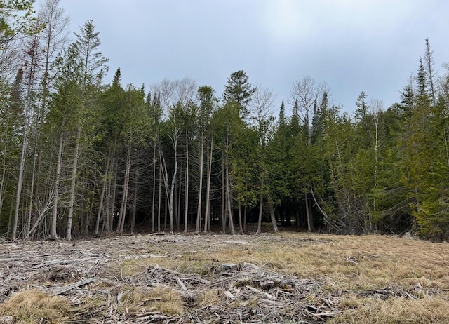 E Grand Lake Rd, Presque Isle, MI 49777