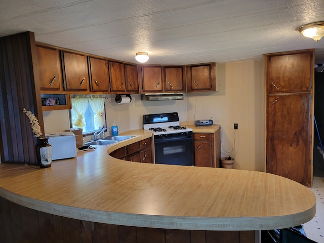 14089 M65, Posen, MI 49776 - kitchen featuring range with gas cooktop, a sink, light countertops, extractor fan, and a peninsula