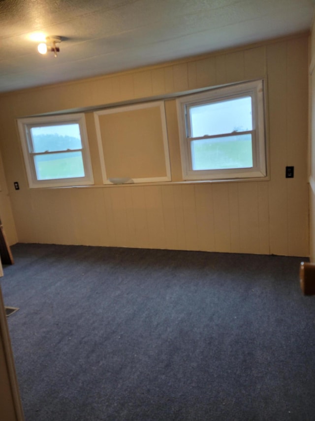 14089 M65, Posen, MI 49776 - unfurnished room featuring healthy amount of natural light and carpet