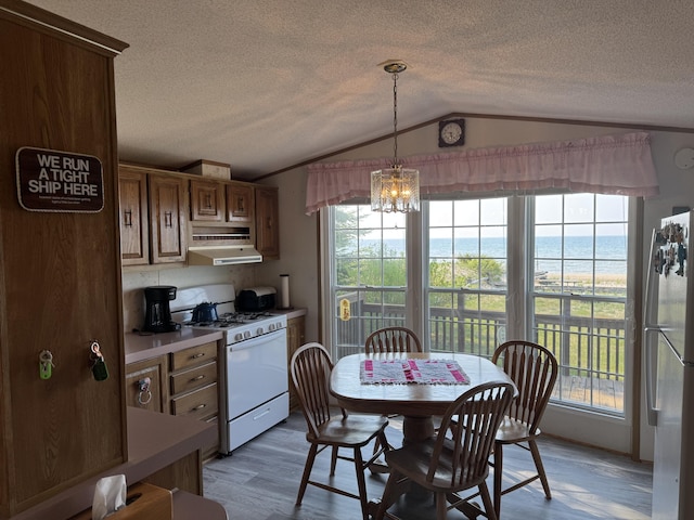 3981 Pointe Dr, Carp Lake, MI 49718 - kitchen with white range with gas stovetop, freestanding refrigerator, lofted ceiling, under cabinet range hood, and light wood-style flooring