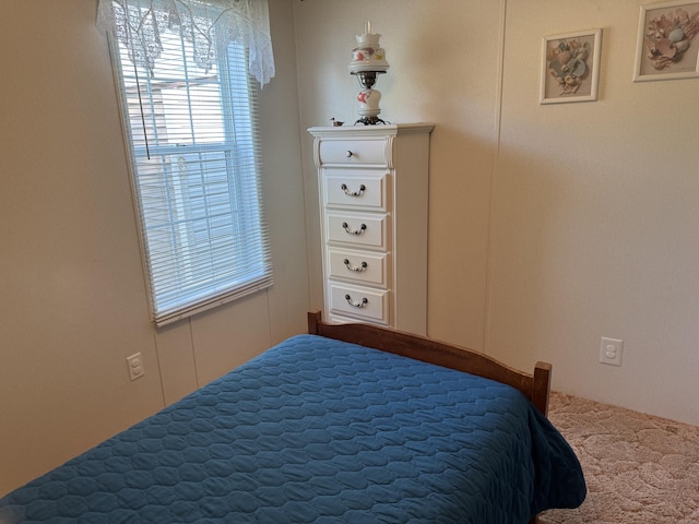3981 Pointe Dr, Carp Lake, MI 49718 - view of bedroom