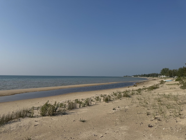 3981 Pointe Dr, Carp Lake, MI 49718 - water view featuring local beach