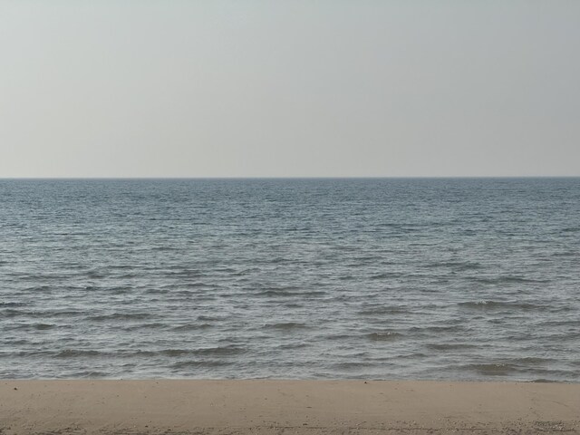 3981 Pointe Dr, Carp Lake, MI 49718 - water view with local beach