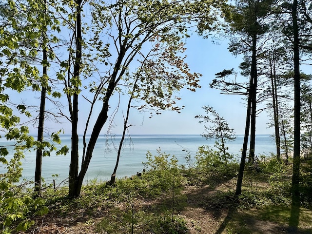 9561 Highbanks Dr, Cheboygan, MI 49721 - water view