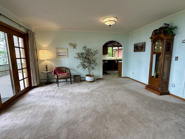 9561 Highbanks Dr, Cheboygan, MI 49721 - living area with arched walkways, carpet flooring, and crown molding