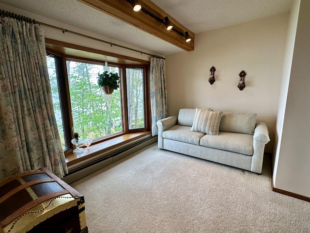 9561 Highbanks Dr, Cheboygan, MI 49721 - living room featuring carpet flooring, a textured ceiling, and track lighting