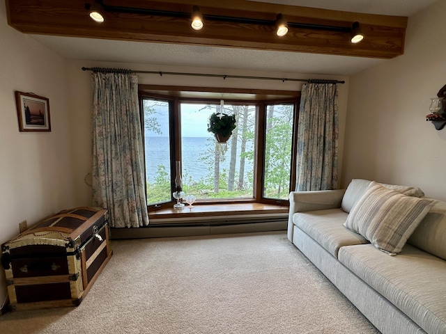 9561 Highbanks Dr, Cheboygan, MI 49721 - living room with carpet, a water view, and beamed ceiling