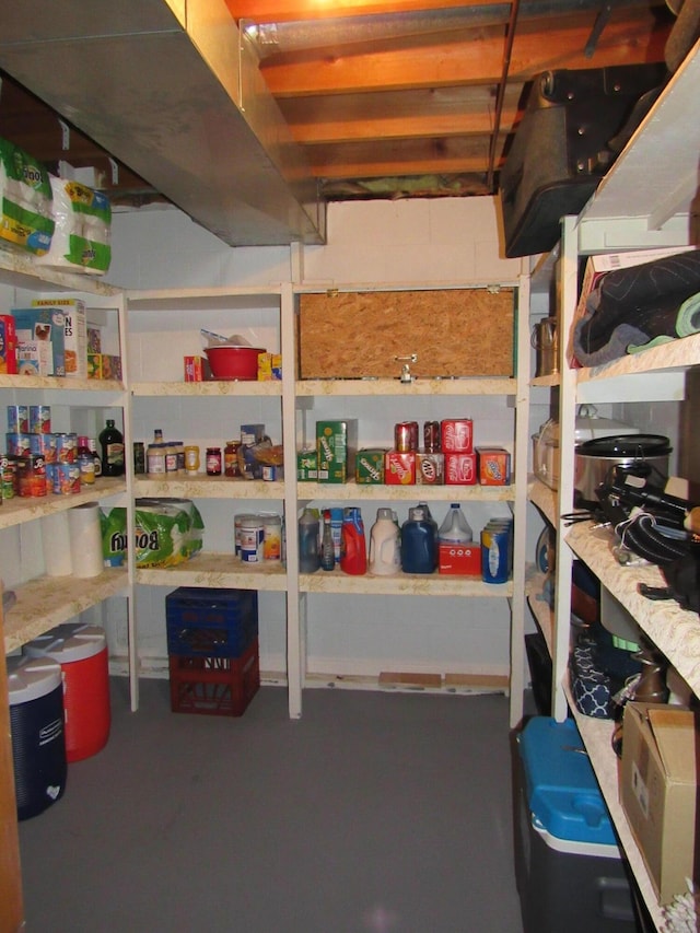 110 Chippewa Trl, Prudenville, MI 48651 - view of storage area