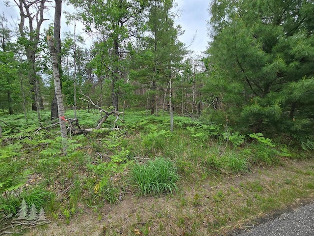LOT39 Garland Blvd, Lewiston, MI 49756