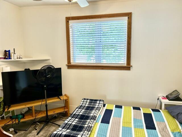 300 E Blair St, Alpena, MI 49707 - bedroom featuring ceiling fan