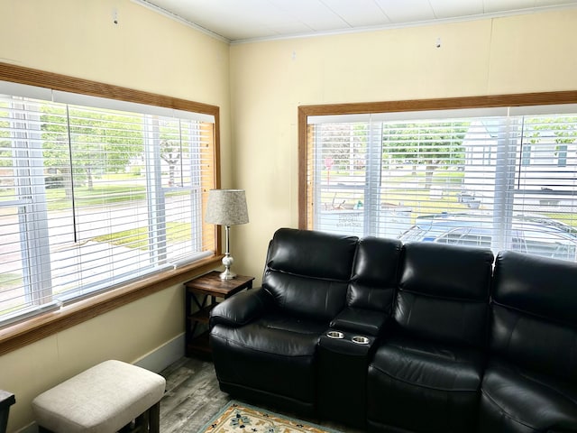 300 E Blair St, Alpena, MI 49707 - living room with plenty of natural light, wood finished floors, and ornamental molding