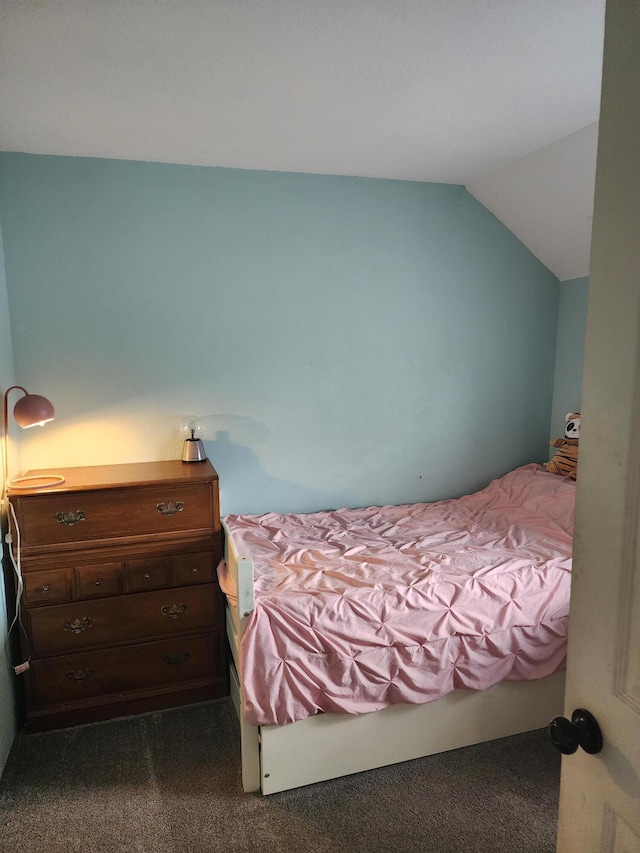 119 W Hueber St, Alpena, MI 49707 - photo 21