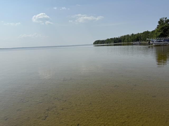 5692 Silver Beach Dr, Onaway, MI 49765 - photo 4