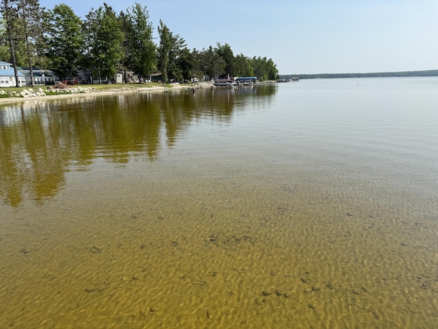 5692 Silver Beach Dr, Onaway, MI 49765 - photo 8
