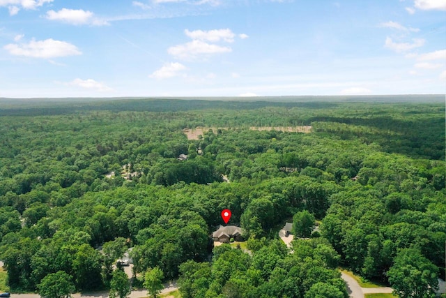 142 Frisco Dr, Houghton Lake, MI 48629 - drone / aerial view of a forest