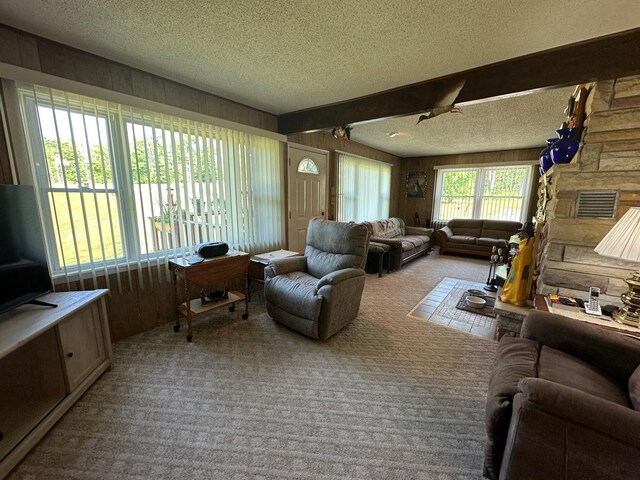 2585 M-33, Comins, MI 48619 - carpeted living room featuring a textured ceiling, a fireplace, and wooden walls