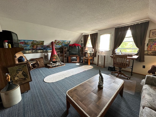 2585 M-33, Comins, MI 48619 - living room with lofted ceiling, carpet, and a textured ceiling