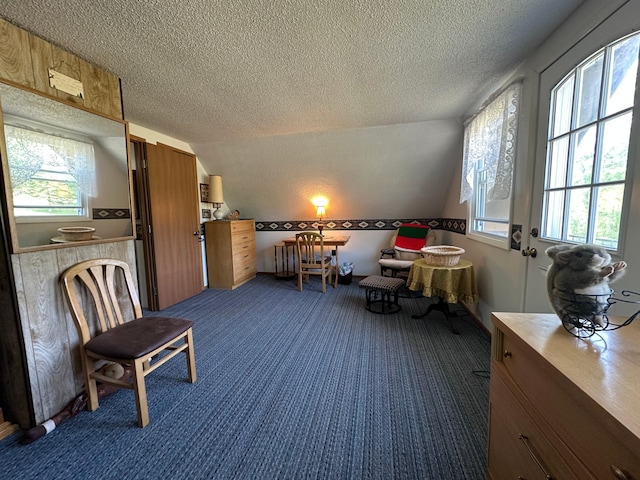 2585 M-33, Comins, MI 48619 - living area with a textured ceiling, dark carpet, and vaulted ceiling