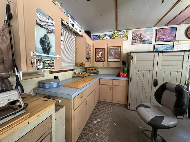 2585 M-33, Comins, MI 48619 - kitchen featuring light countertops
